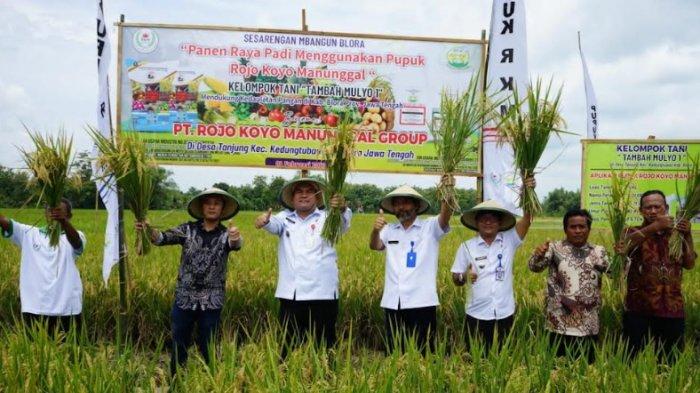 Bupati Blora Apresiasi PT Rojo Koyo Manunggal dalam Panen Raya, Dukung Ketahanan Pangan Nasional